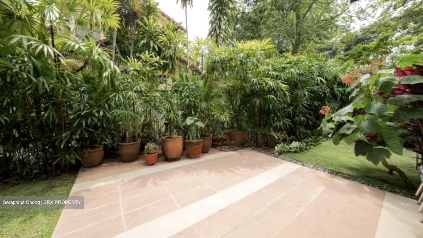 Raffles Park (D11), Detached #558609511